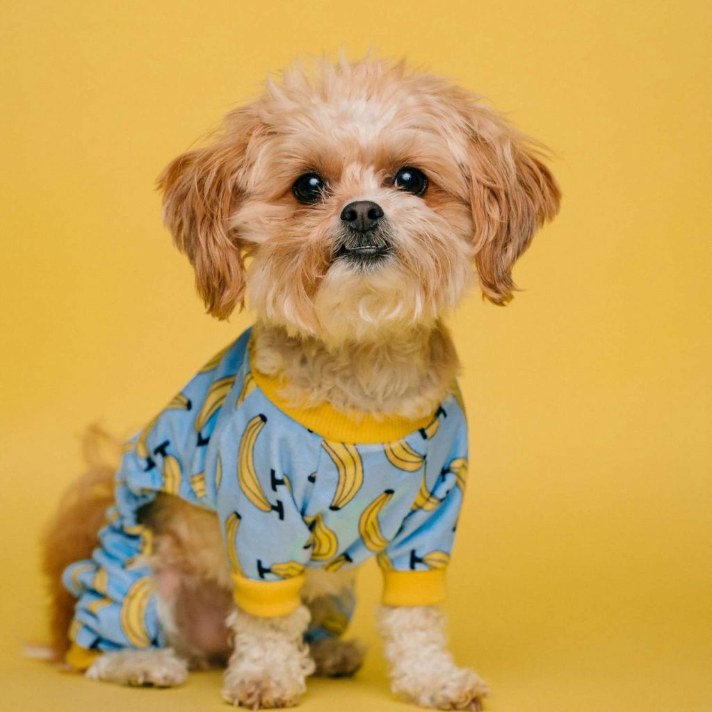 Old Games Store – Loja de RetroGaming Portuguesa